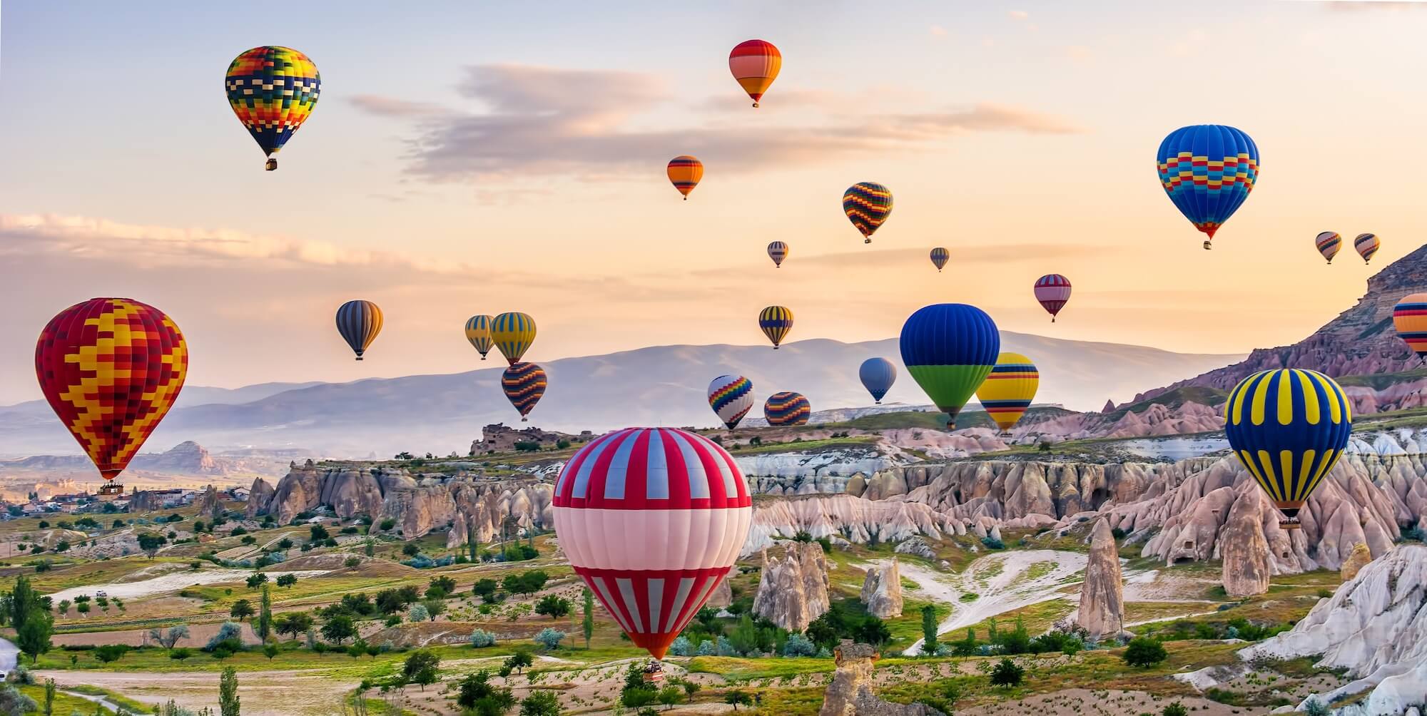 Web Design Services That Elevate Brands Big and Small